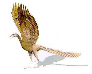 ARQUEOPTERIX