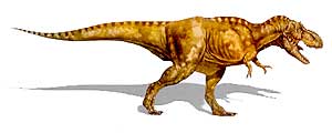 T-REX