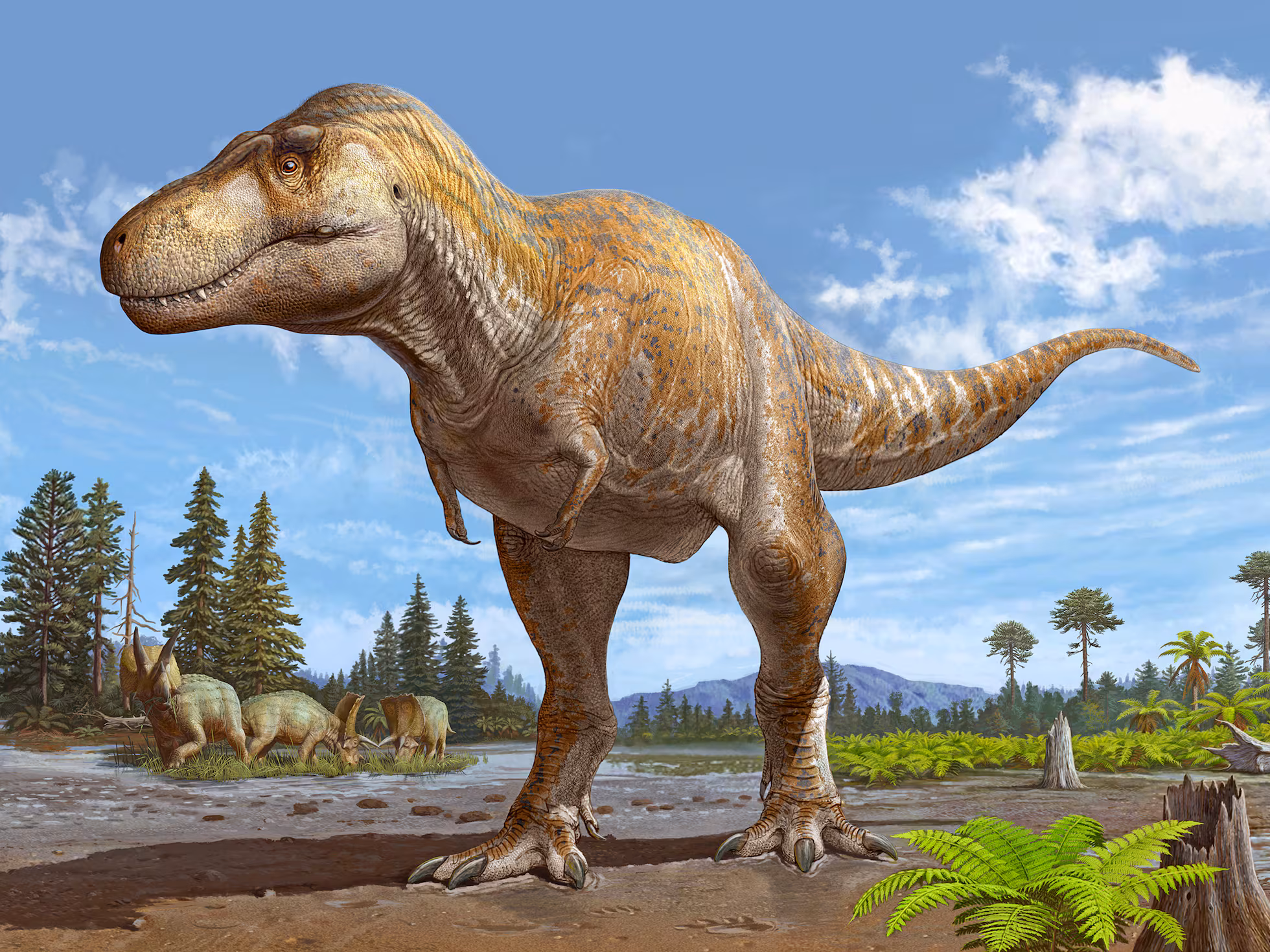 T-REX